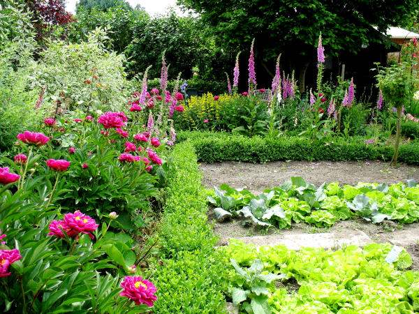 Die mit Buchs eingefassten Gem�sebeete werden von Rabatten mit Bauerngartenstauden und -blumen ums�umt.