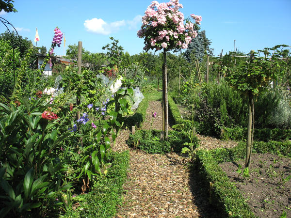 Wegekreuz mit Rondell und Beeteinfassungen mit niedrigen Buchshecken - Klassische Gliederung im Bauerngarten